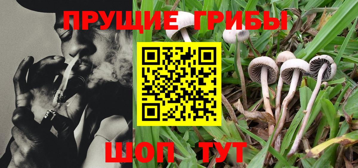 Галлюциногенные грибы MAGIC MUSHROOMS Кизляр