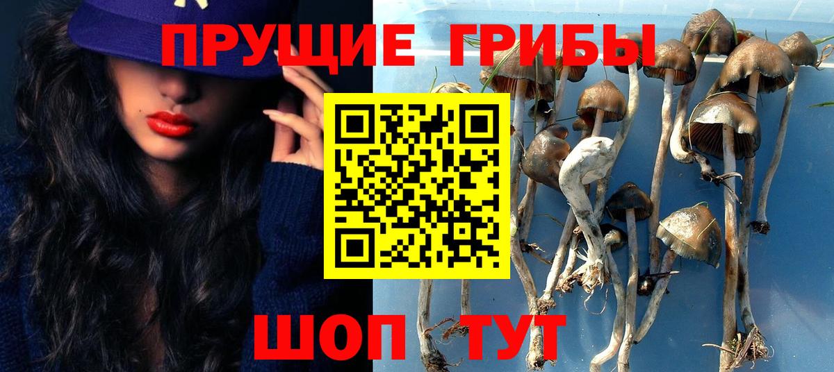 Псилоцибиновые грибы Psilocybe  Вход с VPN  Кизляр  Псилоцибиновые грибы мухоморы 